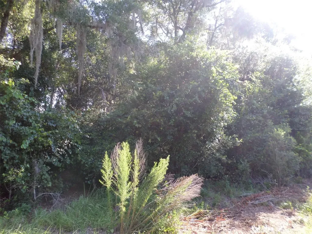 00 W. Highway 40 Dunnellon FL 34431