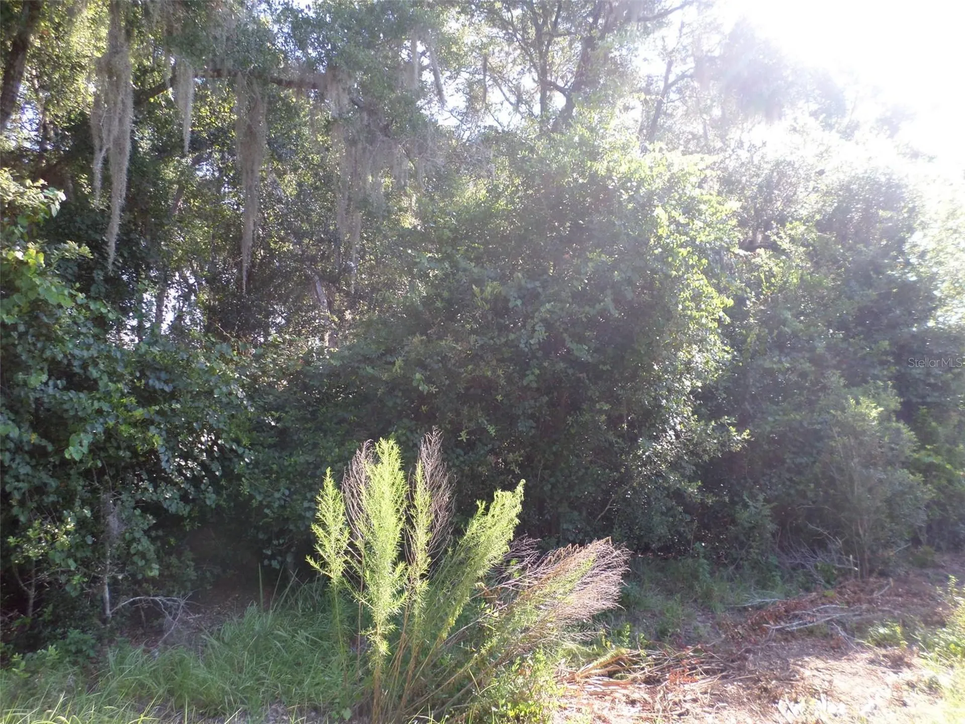 00 W. Highway 40 Dunnellon FL 34431