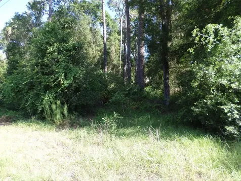 00 W. Highway 40 Dunnellon FL 34431