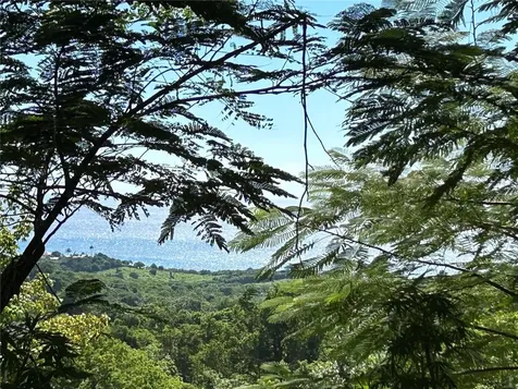 La Llave Vieques PR 00765