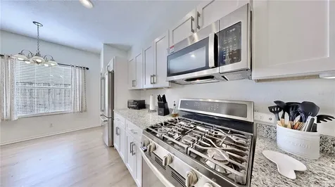 24425 Breezy Oak Court Lutz FL 33559