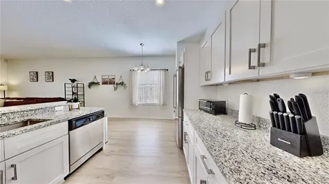 24425 Breezy Oak Court Lutz FL 33559