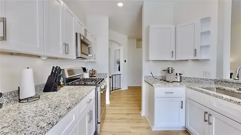 24425 Breezy Oak Court Lutz FL 33559