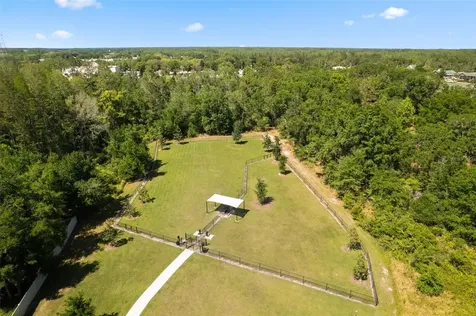 20933 Monza Loop Land O Lakes FL 34638