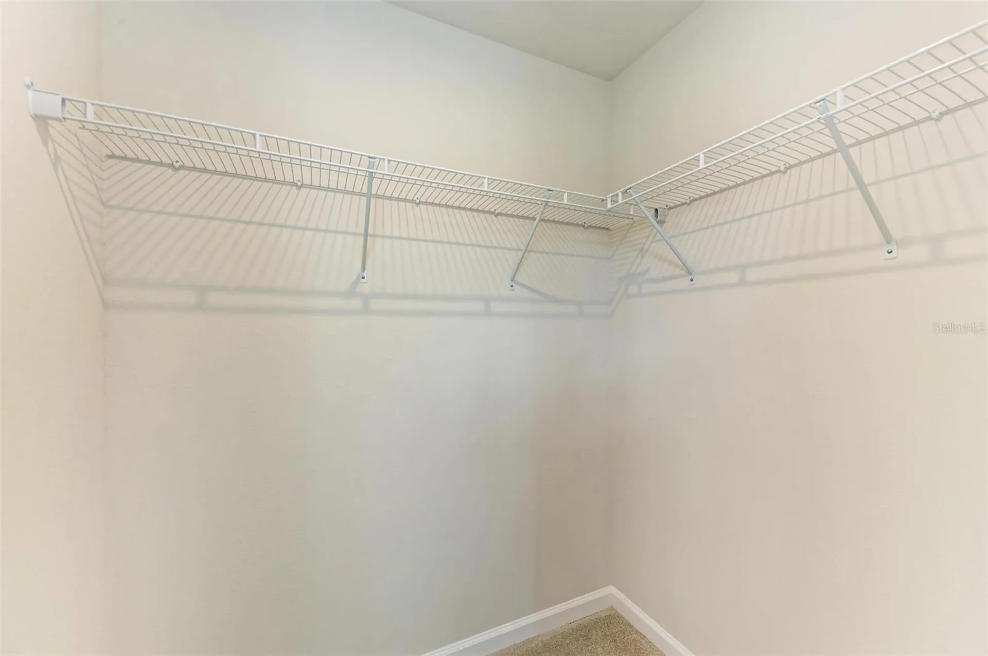 10907 Osprey Glade Terrace Land O Lakes FL 34638