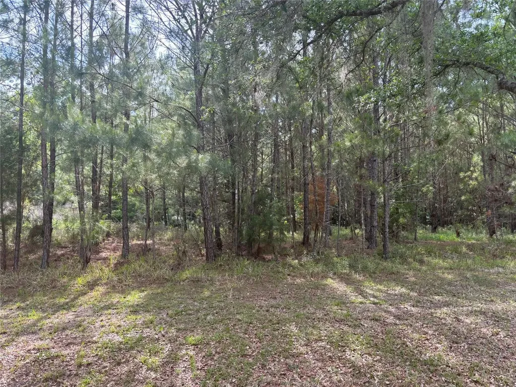 6038 NW 90th Street Gainesville FL 32653