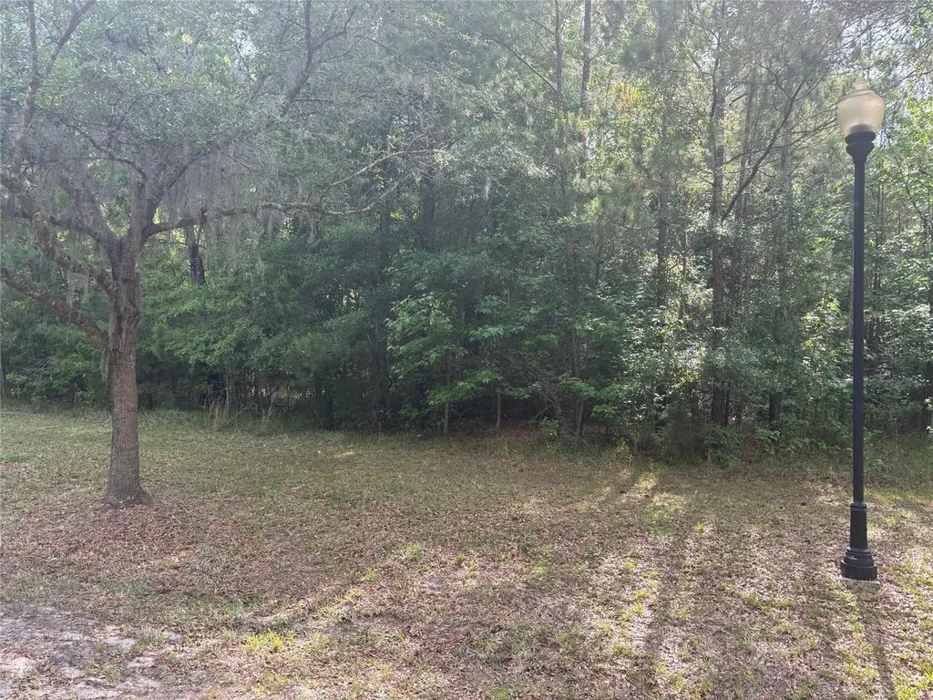 6038 NW 90th Street Gainesville FL 32653