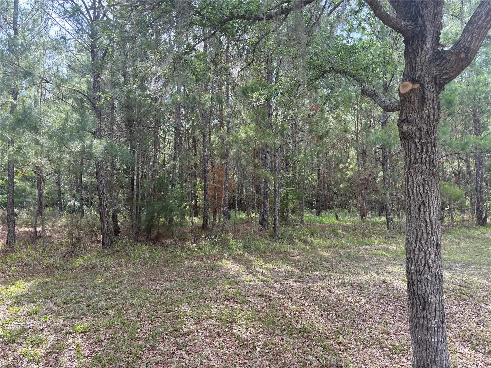6038 NW 90th Street Gainesville FL 32653