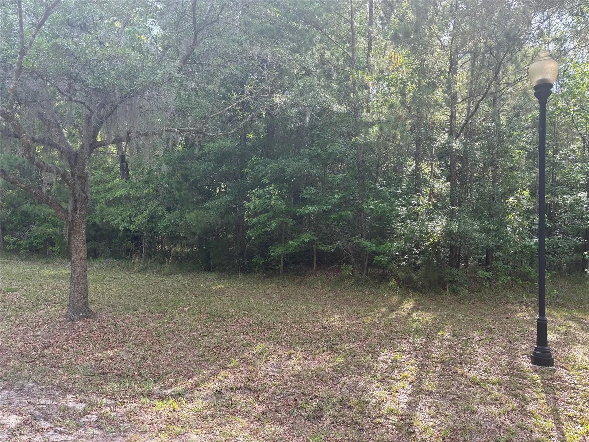 6038 NW 90th Street Gainesville FL 32653