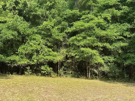6038 NW 90th Street Gainesville FL 32653