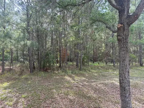 6038 NW 90th Street Gainesville FL 32653