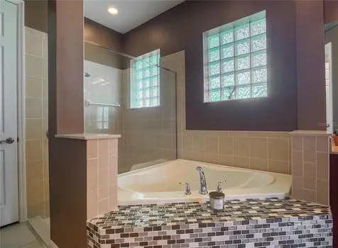 7625 Lake Angelina Drive Mount Dora FL 32757