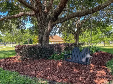 7625 Lake Angelina Drive Mount Dora FL 32757
