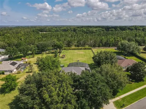 7625 Lake Angelina Drive Mount Dora FL 32757