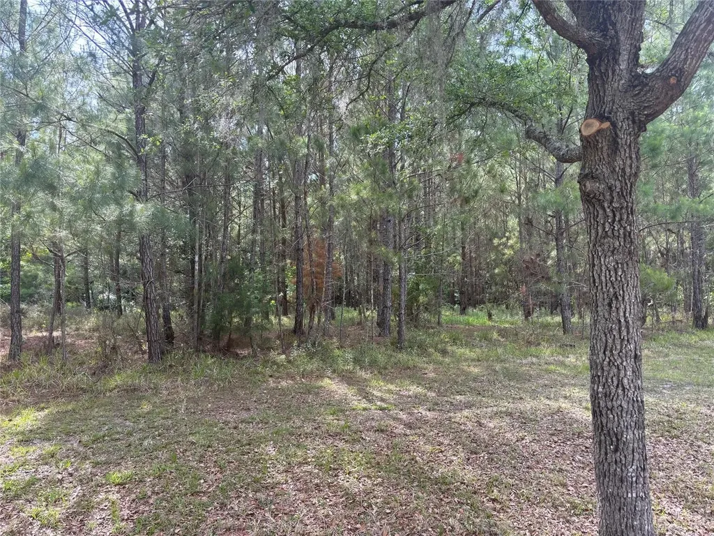 8845 NW 58th Lane Gainesville FL 32653