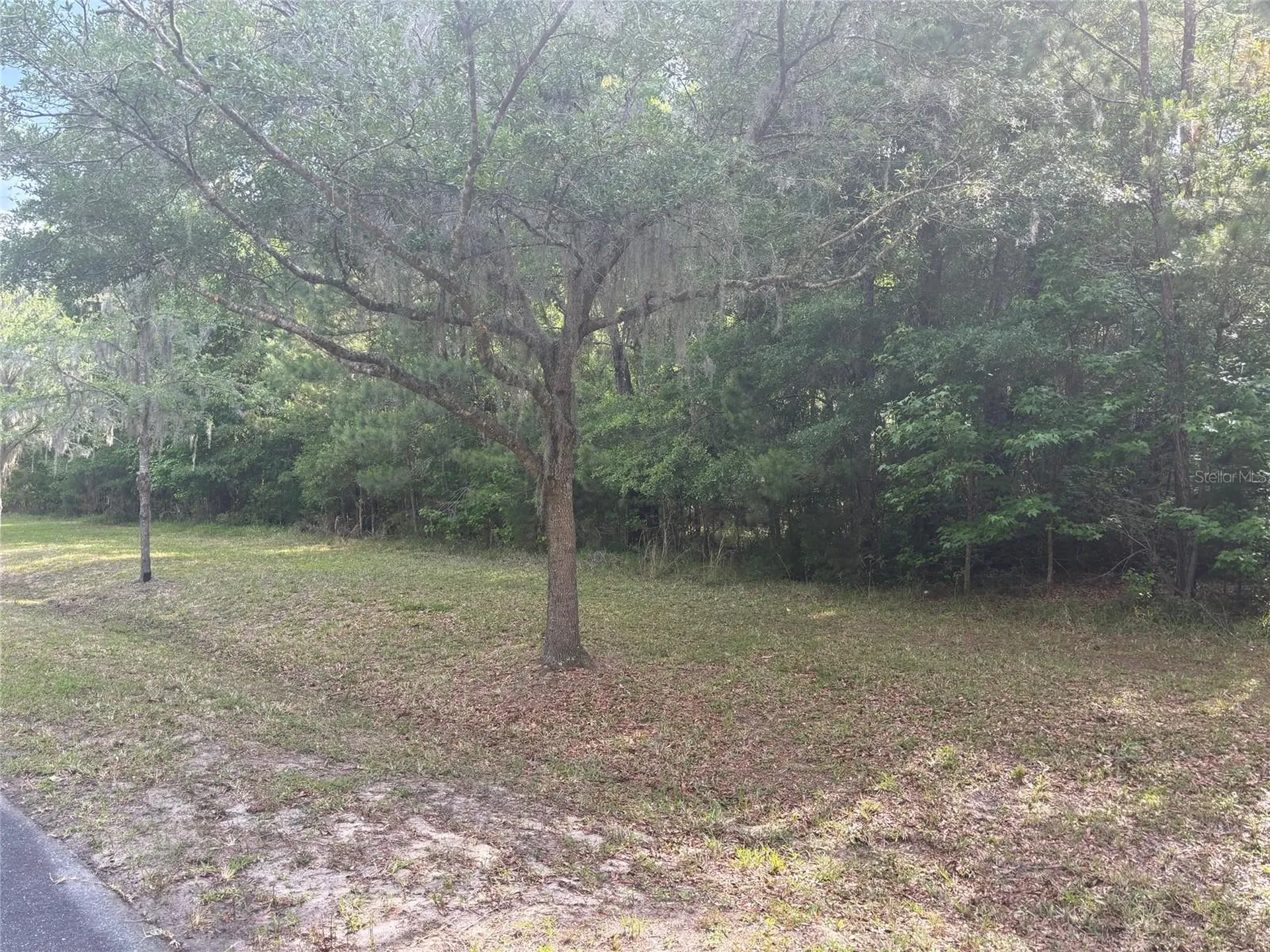 8845 NW 58th Lane Gainesville FL 32653