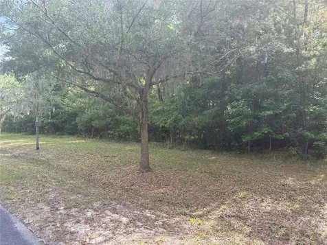 8845 NW 58th Lane Gainesville FL 32653