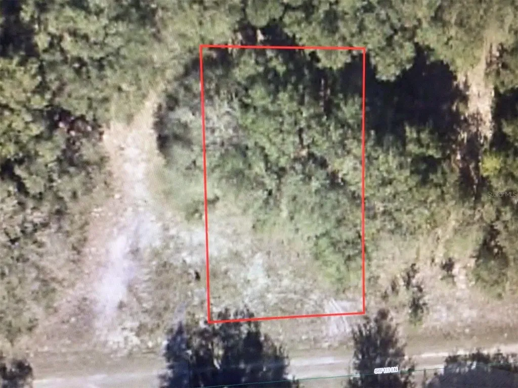 000 SW 113 Lane Dunnellon FL 34432
