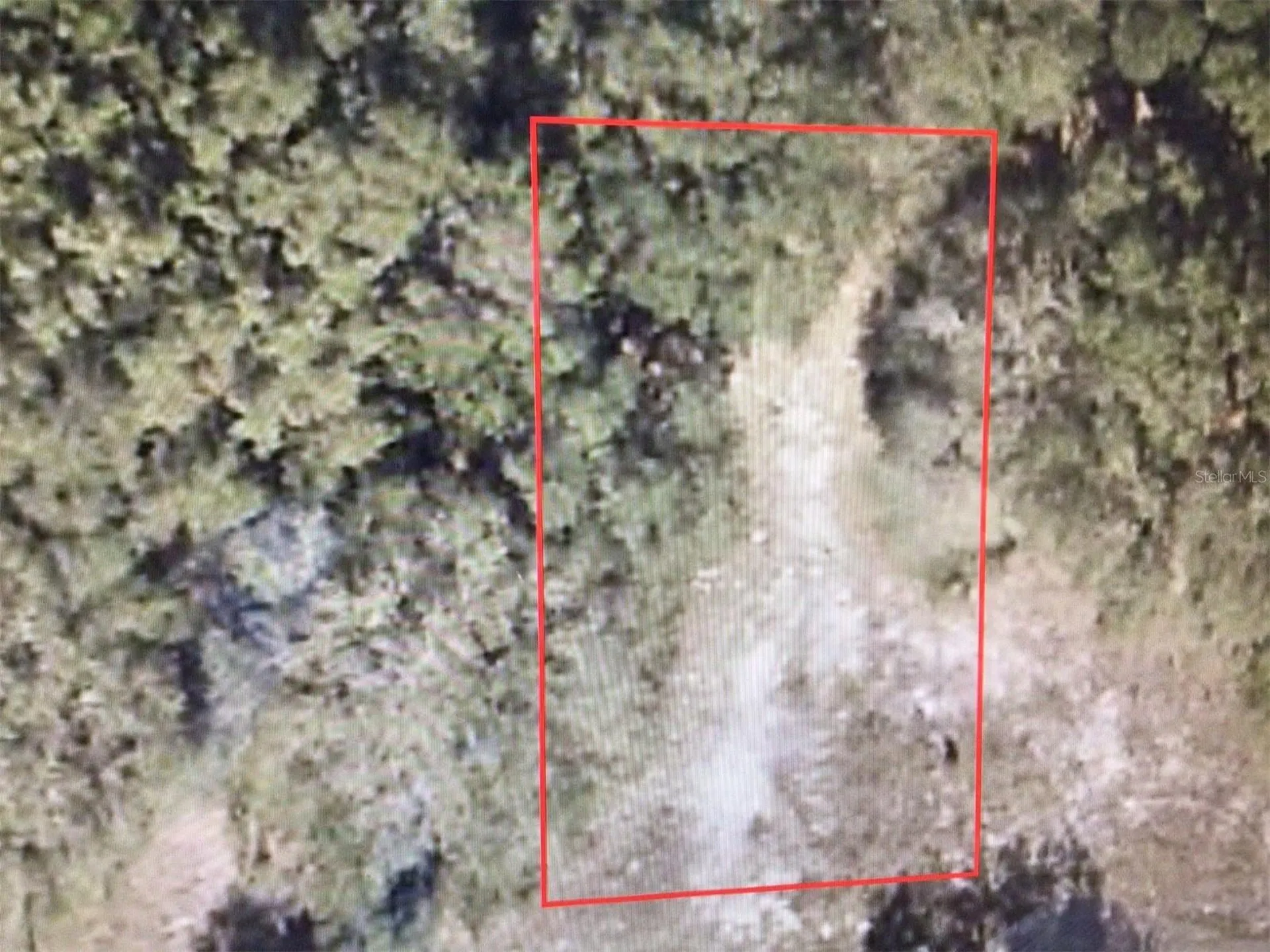 000 SW 113 Lane Dunnellon FL 34432