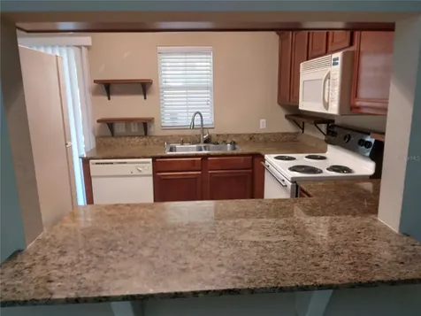 225 Draw Bridge Lane Valrico FL 33594