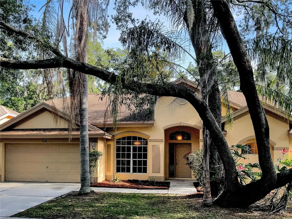 2316 Kenwick Drive Valrico FL 33596