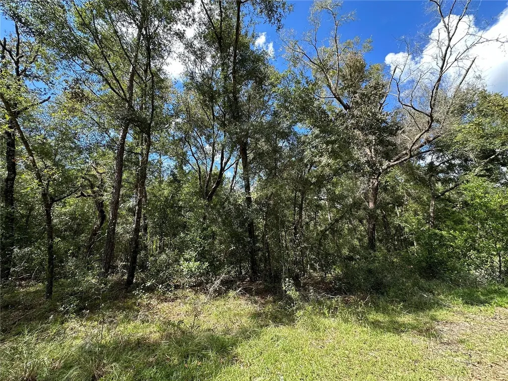 000 NE 156th Avenue Williston FL 32696