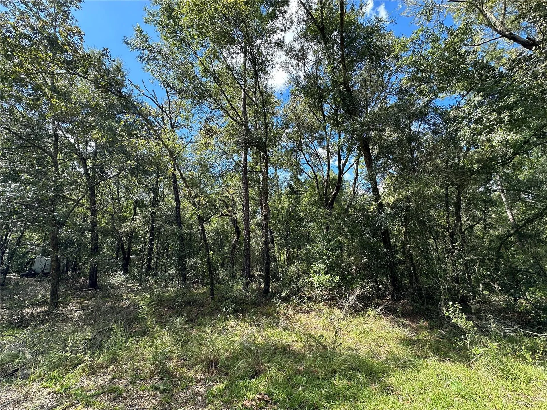 000 NE 156th Avenue Williston FL 32696
