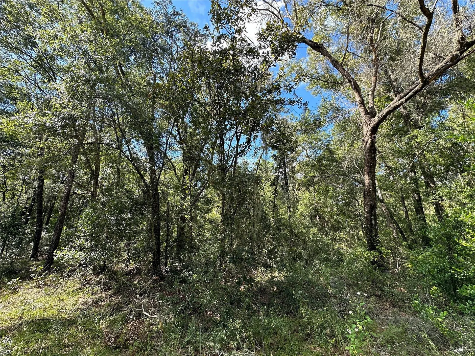 000 NE 156th Avenue Williston FL 32696