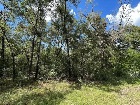 000 NE 156th Avenue Williston FL 32696