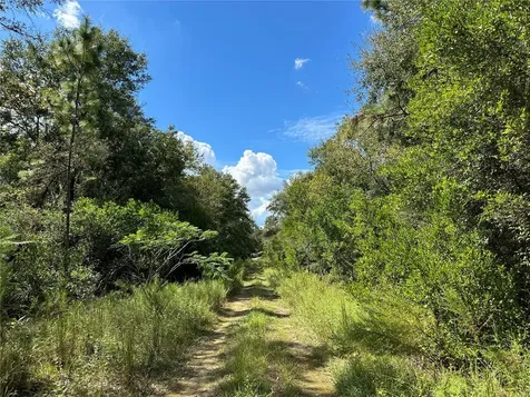 000 NE 156th Avenue Williston FL 32696