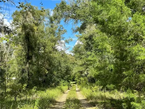 000 NE 156th Avenue Williston FL 32696