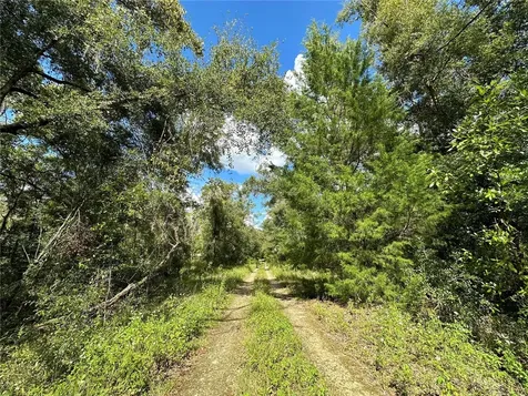 000 NE 156th Avenue Williston FL 32696