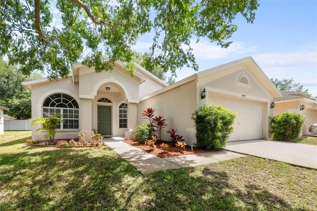 34707 Birchmont Lane Zephyrhills FL 33541