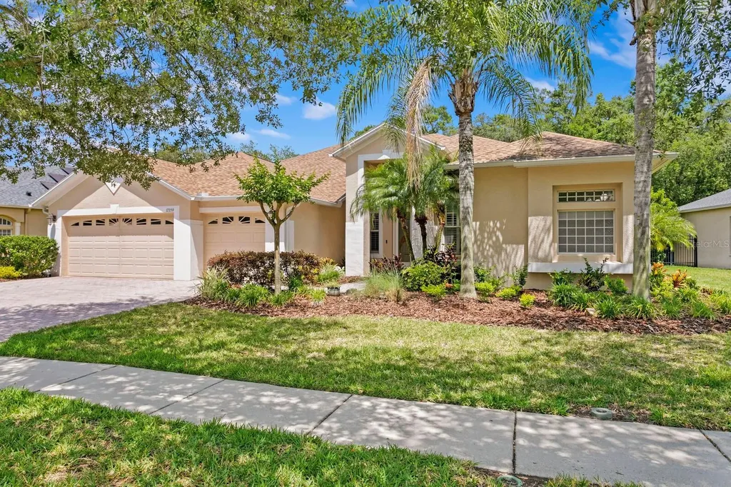 17359 Emerald Chase Drive Tampa FL 33647