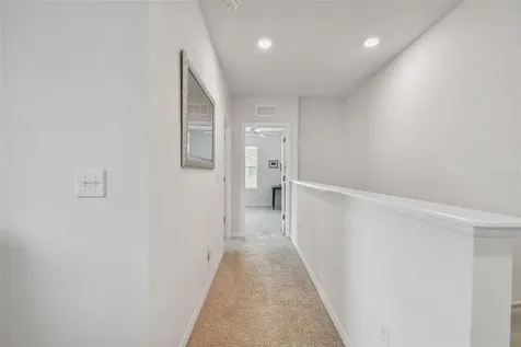 6935 Breezy Palm Drive Riverview FL 33578