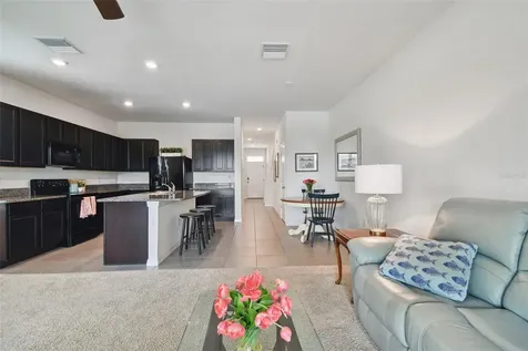 6935 Breezy Palm Drive Riverview FL 33578