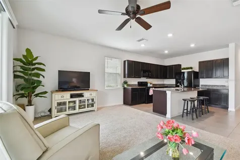 6935 Breezy Palm Drive Riverview FL 33578
