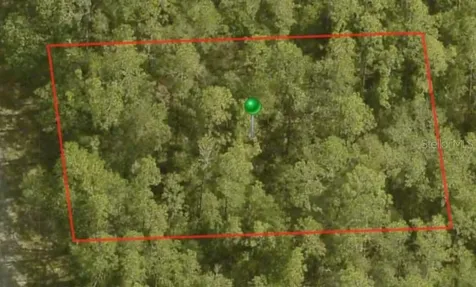 8759 N Sawyer Terrace Dunnellon FL 34434