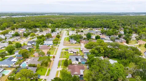 406 Needles Drive Port Orange FL 32127