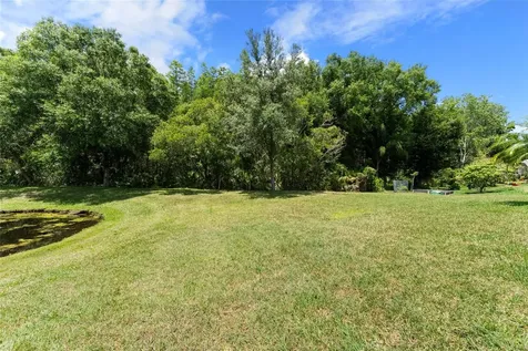 18310 Bankston Place Tampa FL 33647