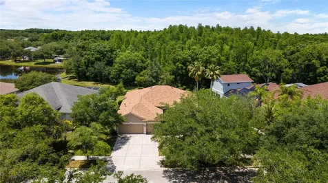 18310 Bankston Place Tampa FL 33647