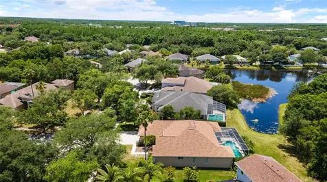 18310 Bankston Place Tampa FL 33647
