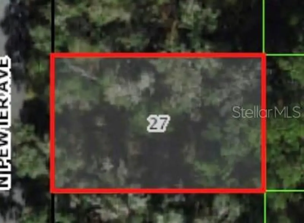 9471 N Pewter Avenue Dunnellon FL 34434