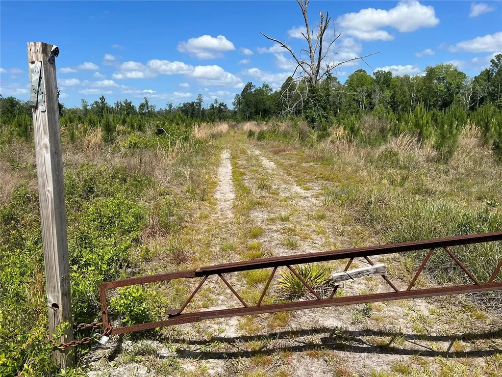 Highway 40 Dunnellon FL 34430