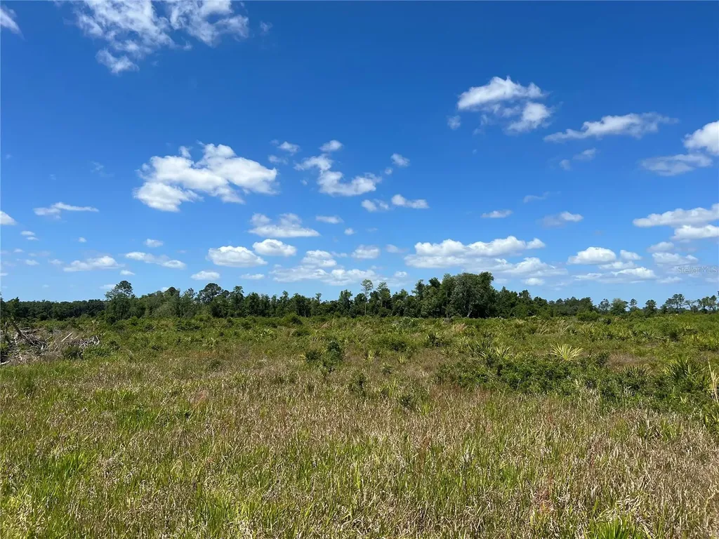 Highway 40 Dunnellon FL 34430