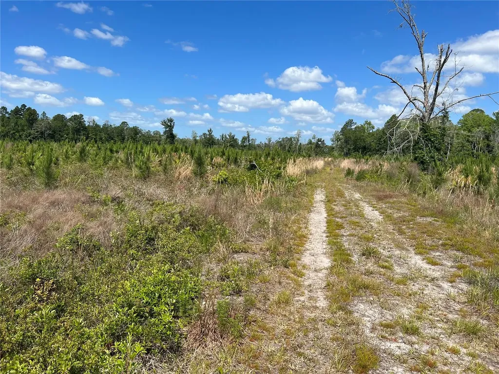 Highway 40 Dunnellon FL 34430