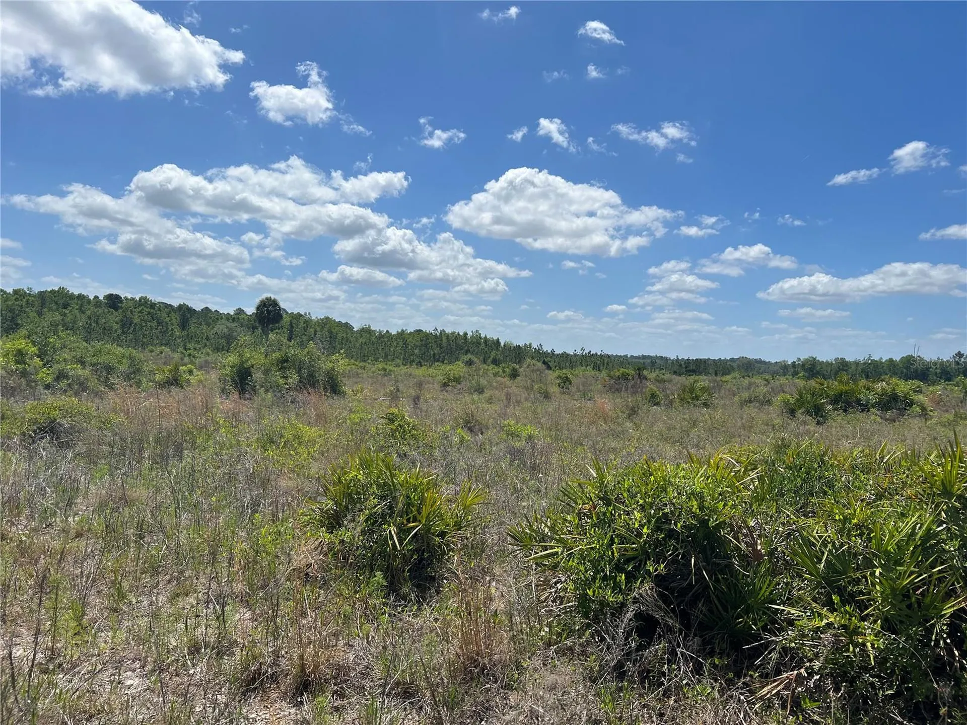 Highway 40 Dunnellon FL 34430