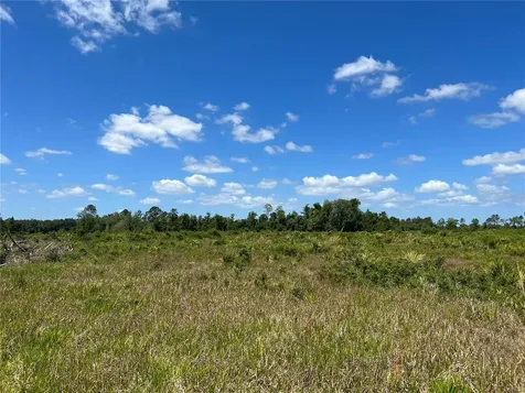 Highway 40 Dunnellon FL 34430