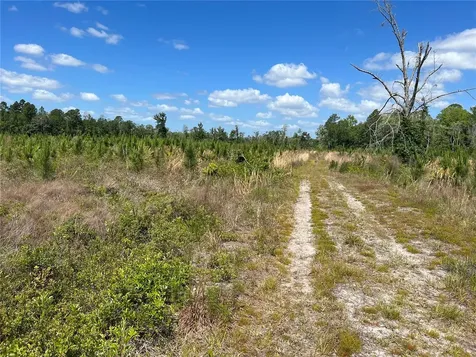 Highway 40 Dunnellon FL 34430