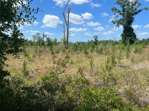 Highway 40 Dunnellon FL 34430